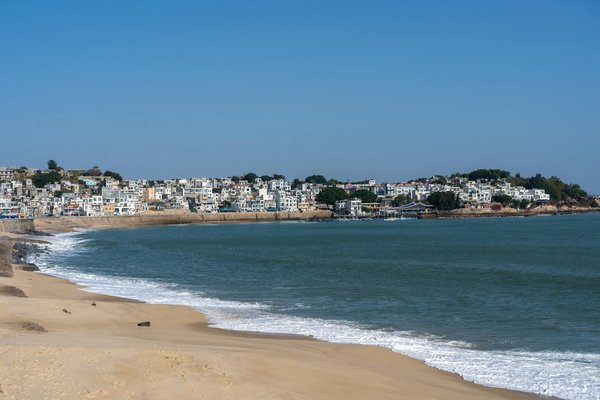 Boostez Votre Santé Digestive : Les Super Aliments et les Pièges à Éviter